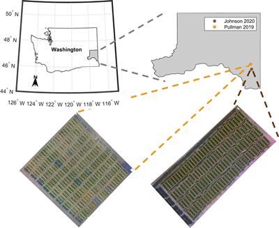 Remote sensing for field pea yield estimation: A study of multi-scale data fusion approaches in phenomics